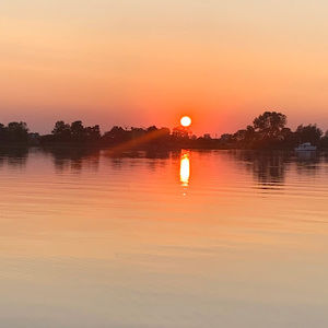 Meet your Posher, Maya